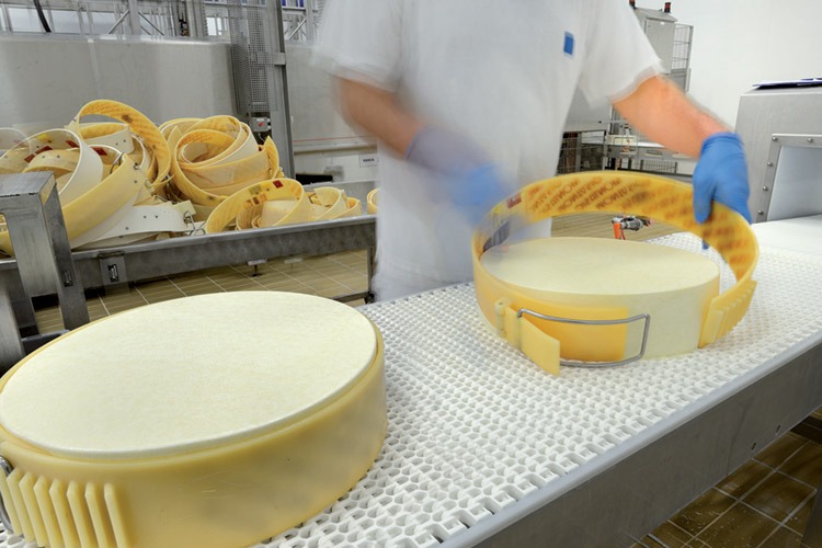 lavorazione formaggio